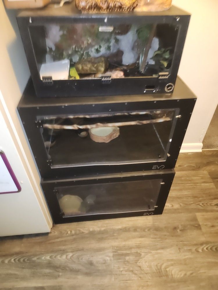 Reptile Cages