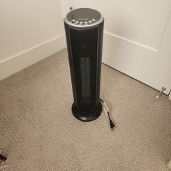Space Heater (Firm Price)