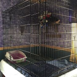 Animal Cage