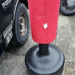 Kid Kick punch Bag