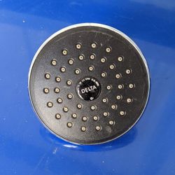 Delta Shower Head