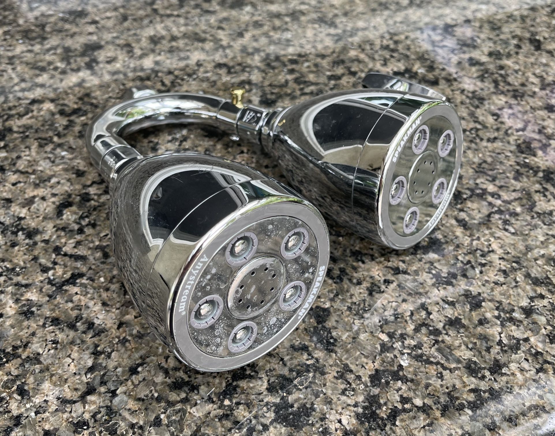 Speakman Dual Head Shower Head Westin Hotel