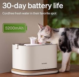 Petlibro Cordless Cat Fountain Dockstream 2