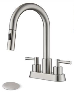Bathroom Faucet with Sprayer