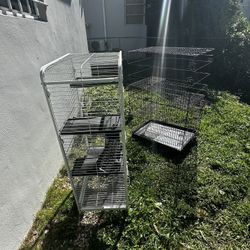 Bird Cages