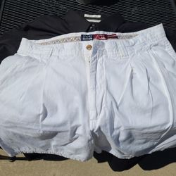 Quicksilver Silver Edition Shorts