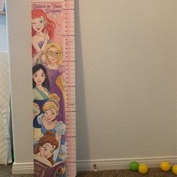 Disney Princess Measurement 