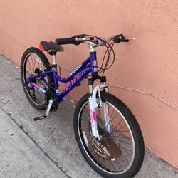 New Schwinn Ranger Mountain Bike Aluminum Frame 24 Inches Tires Ready To Ride 