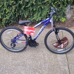 Schwinn Ranger 24" Kids' Mountain Bike