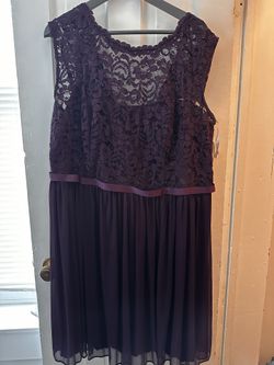 David’s Bridal Size 20