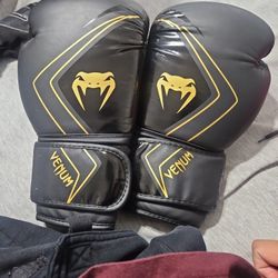 Venum Boxing Gloves