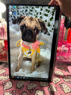 Hp laptop turns into tablet touchscreen