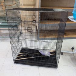 Bird Cage 