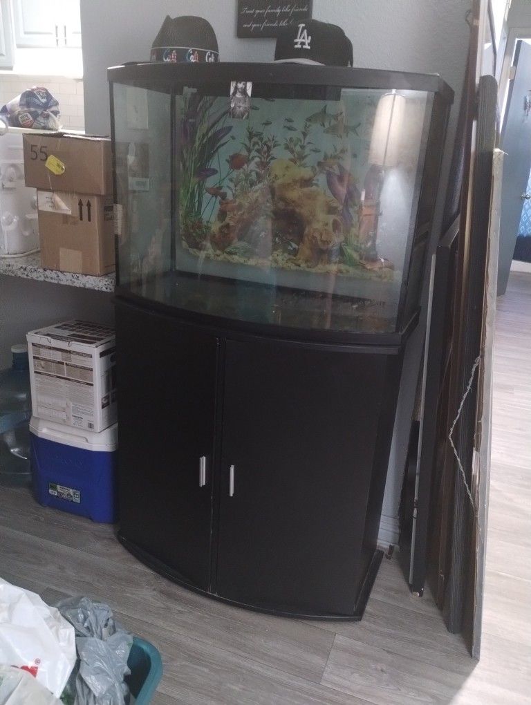 I Have A Big Gallon Fish Tank Over 900 Fish Tank.