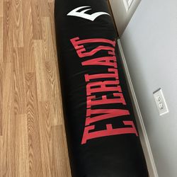 Everlast 100lb Punching Bag - Brand New 