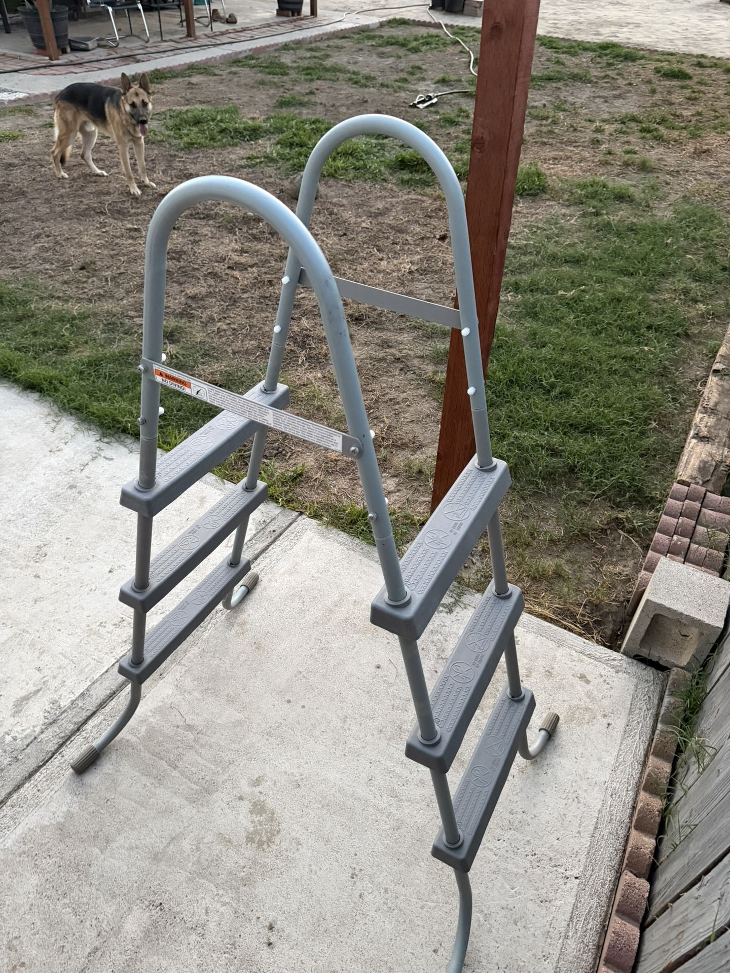 Pool Ladder