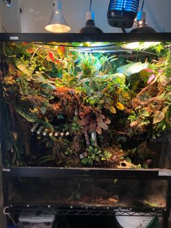 CUSTOM Reptile Enclosures