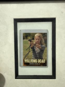 Walking dead auto