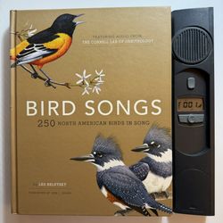 Bird Songs 250 N American Birds w/Audio by Les Beletsky Cornell