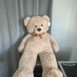 Teddy Bear