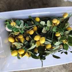 Fake Fruit And Plants