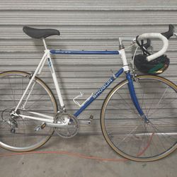 Roadbike large frame