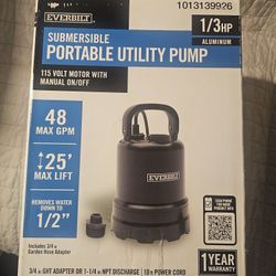 Portable  Utility Pump