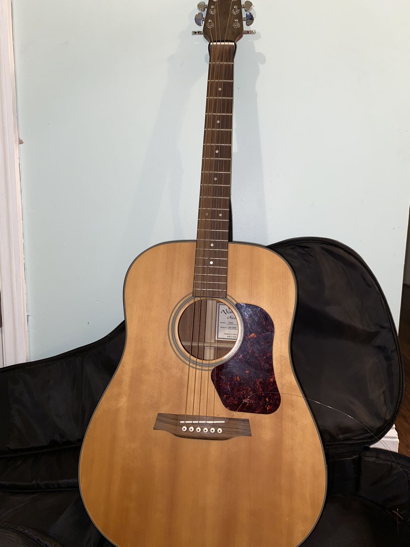 Acoustic Guitar