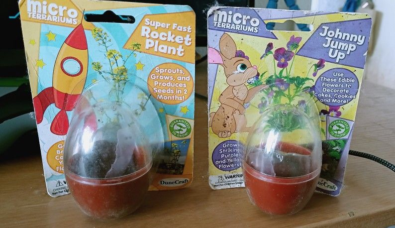 Micro Terrariums Johnny Jump Up Plant Kit And Super Fast Rocket Plant Kit