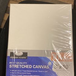10 Pack Stretched Canvas