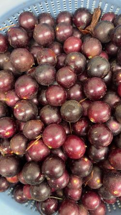 Organic Muscat Grapes