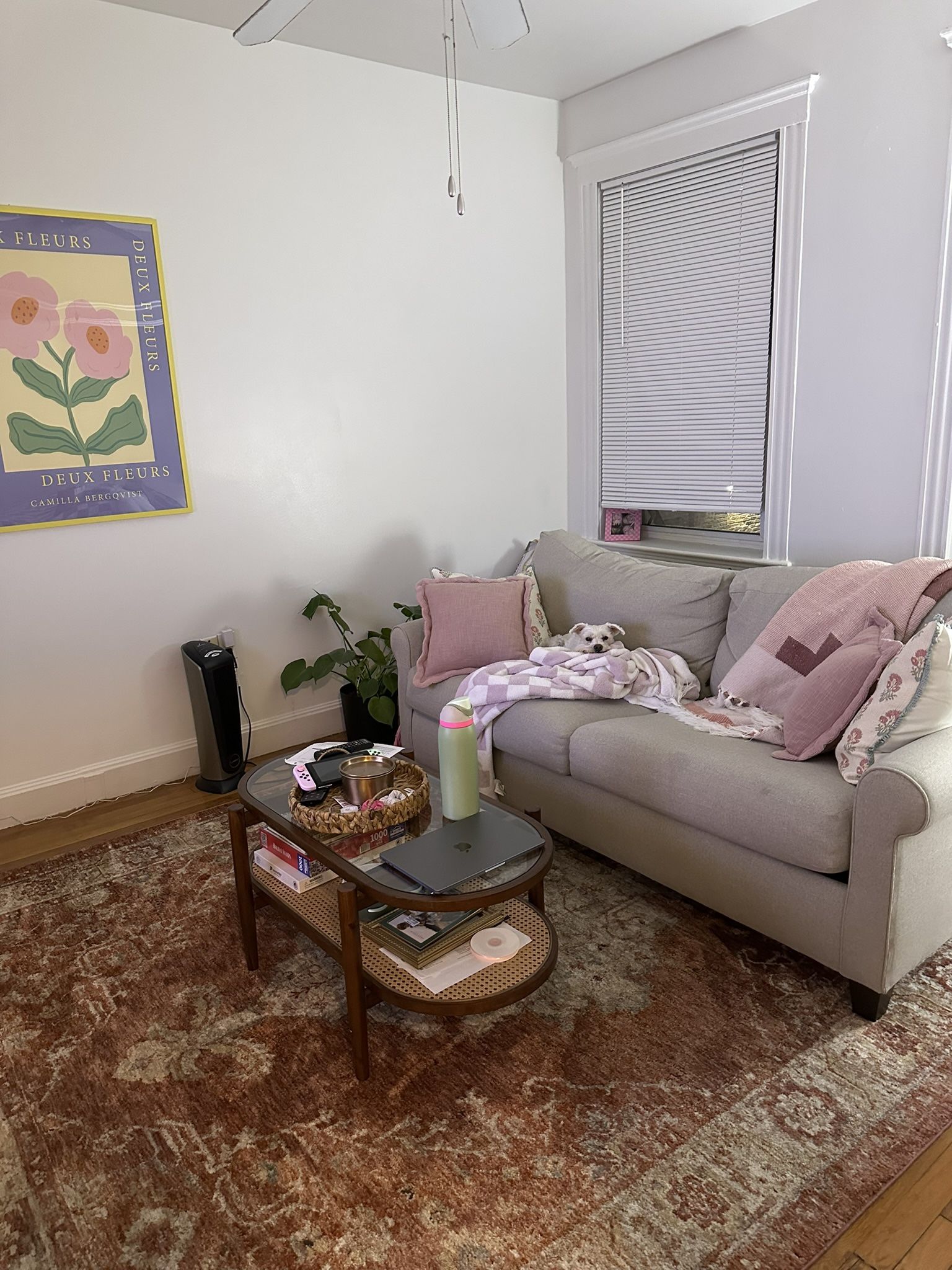 sleeper sofa