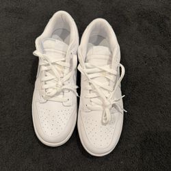 Brand New Nike Dunks Size 11