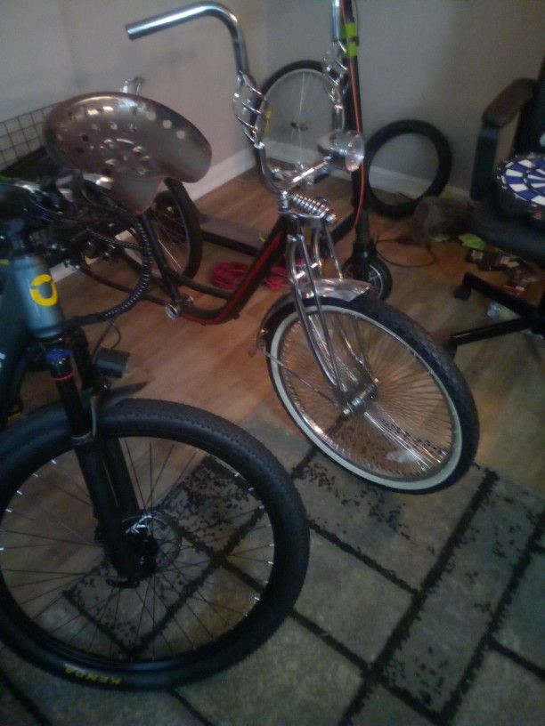 Trike Project