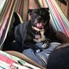 Roxy