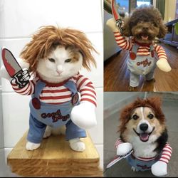Pet Costume 