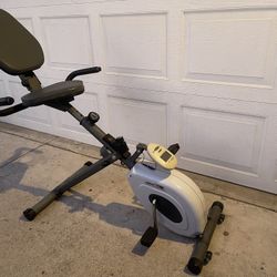 Bike Gym Recumbent Stamina  Bike Vintage 