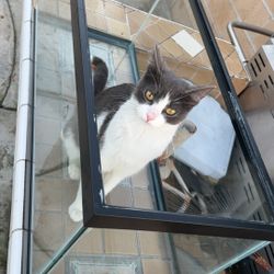 20 Gallons Fish Tank Aquarium 