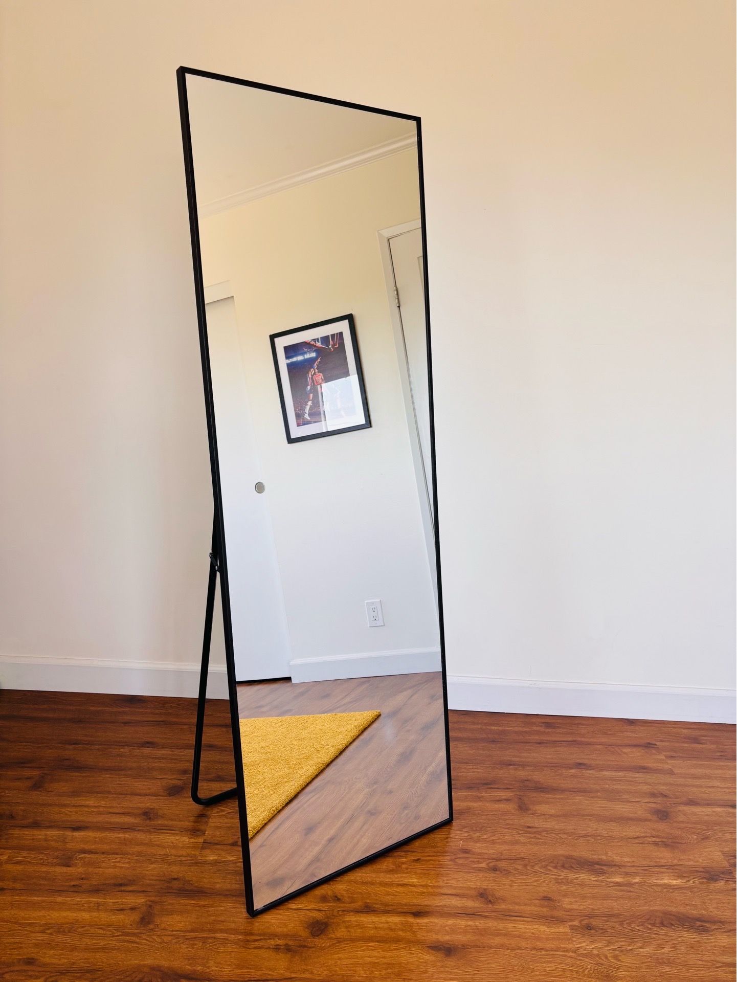 21 in. W x 64 in. H Metal Framed Full Length Mirror Wall Mounted Free Standing or Leaning against the Wall in Black