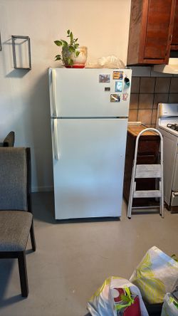 Fridge