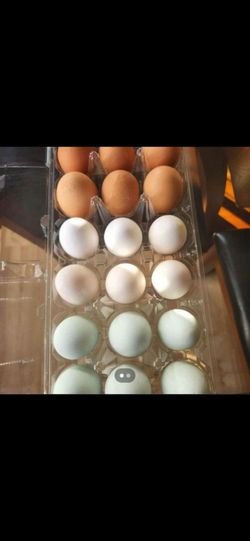 Farm Fresh eggs