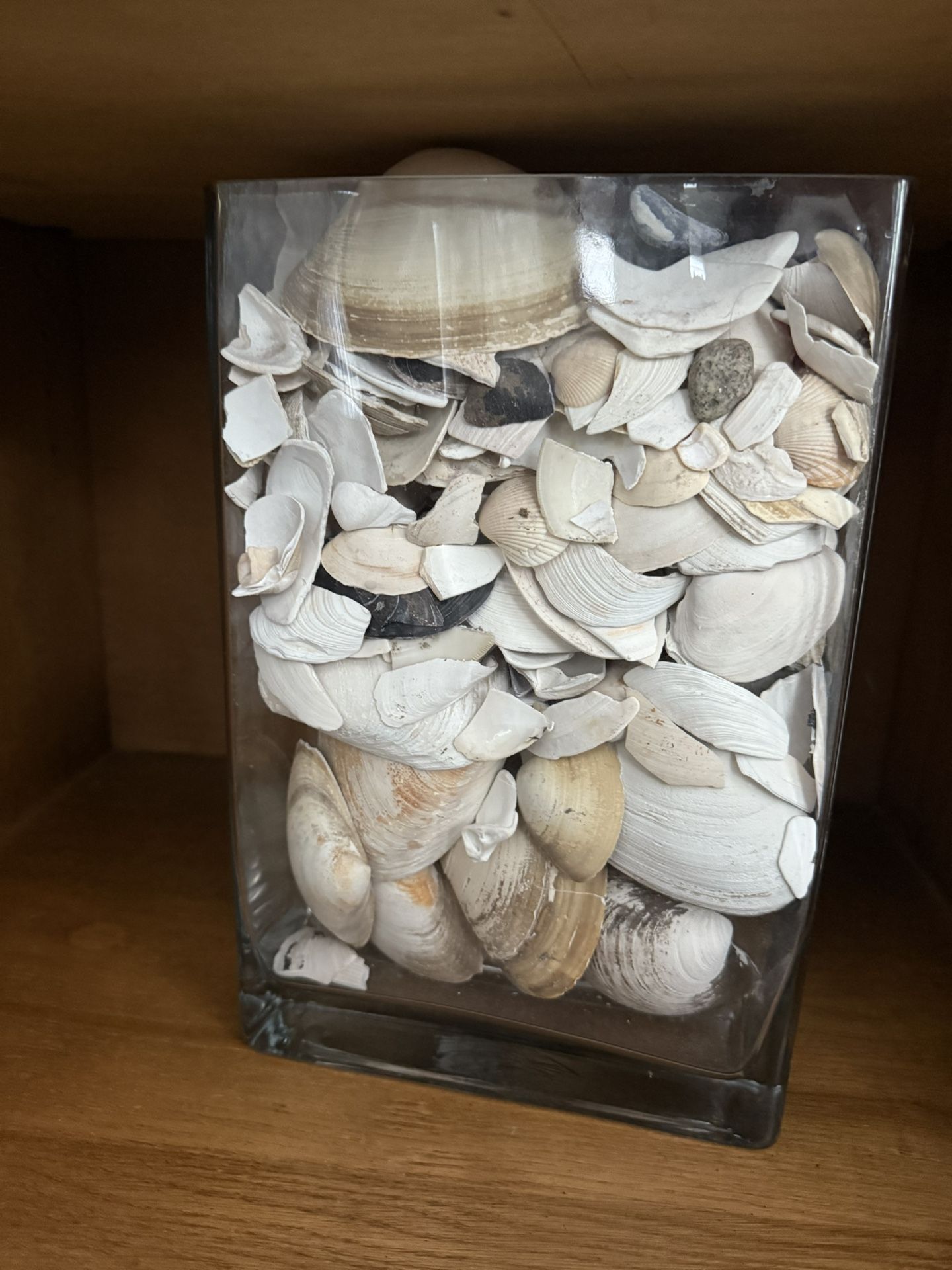 Beautiful Vace With Sea Shells 