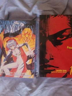Vagabond Vol 1 And Evangelion Vol 2, Manga