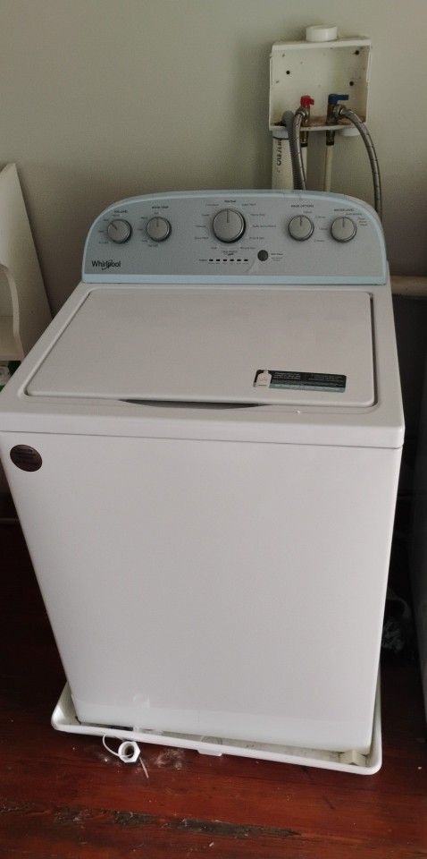 Scrapy Dappy Doo Washer