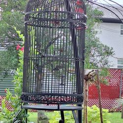 Wrought Iron Bird Cage 