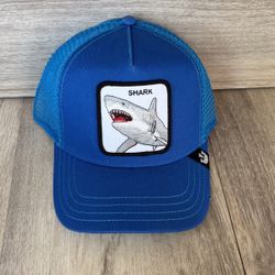 Goorin Bros Snapback Hat$40