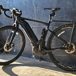 E-bike Pro 1