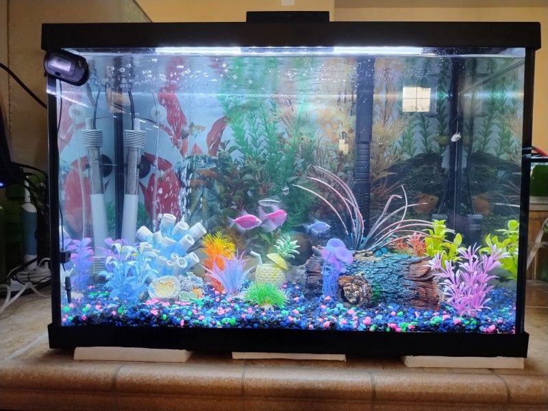 FISH TANK 30 GALLON COMPLETE SET UP WITH TETRA Glo Fish 