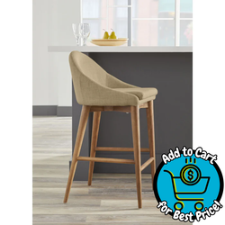 Euro Style Baruch Counter Stool