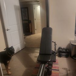 1990s Bowflex, With New Rods!